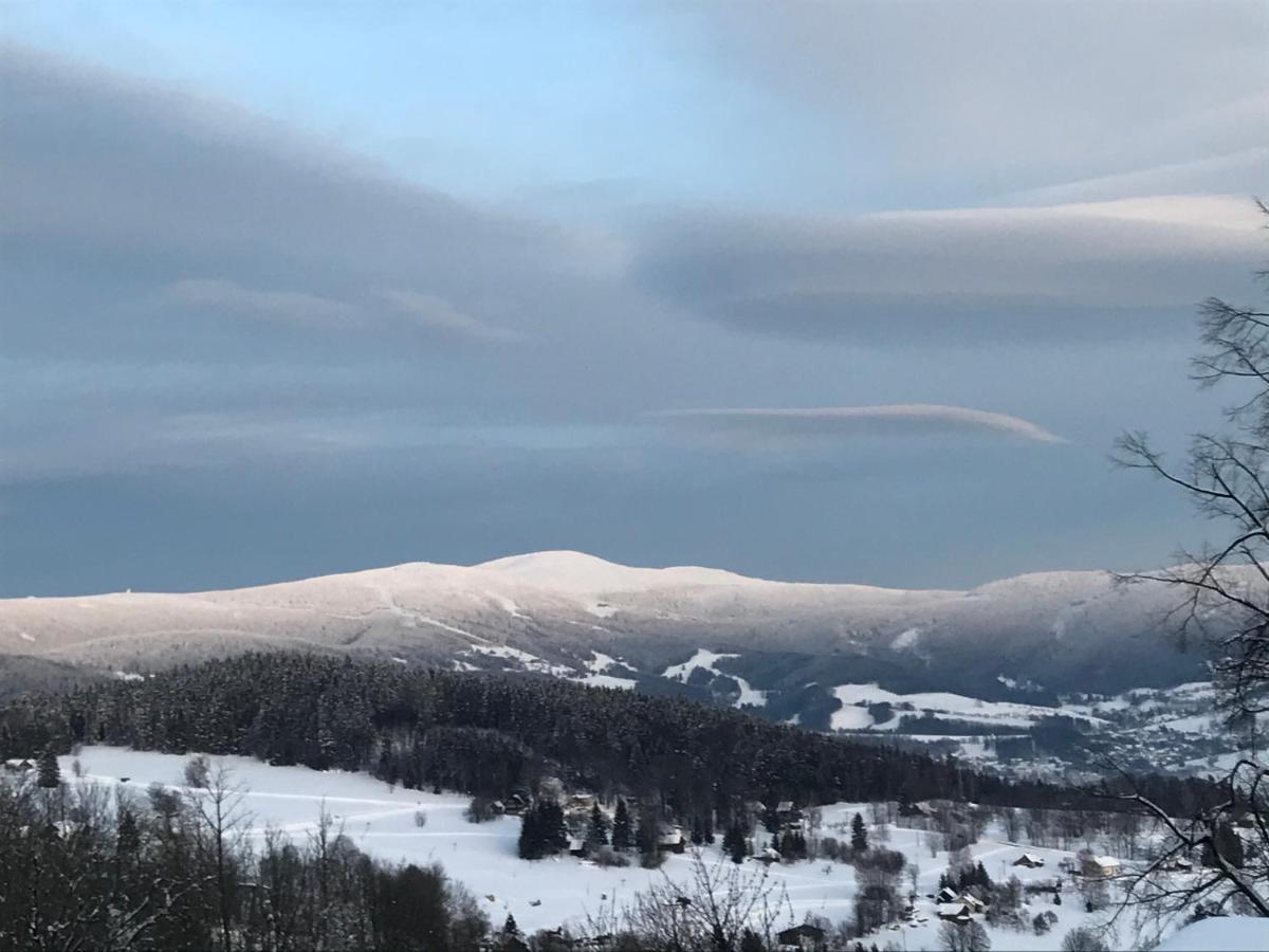 Penzion V Zelený Rokytnice nad Jizerou Esterno foto
