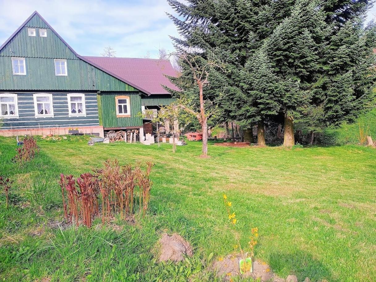Penzion V Zelený Rokytnice nad Jizerou Esterno foto